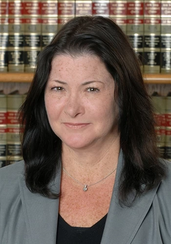 Denise Buda - Lawyer in Lake Success, NY