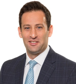 David I. Schulman - Lawyer in Atlanta, GE